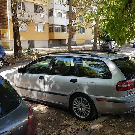 за гости ива * רוסה