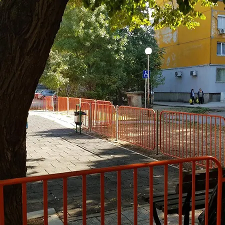 за гости ива *